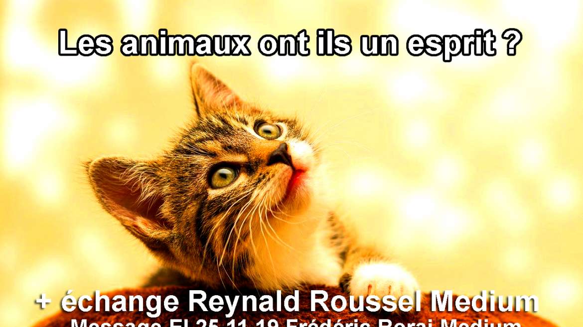 Les animaux ont ils un esprit ?