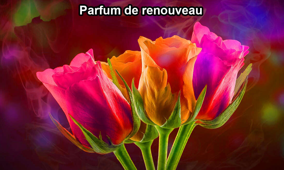 Parfum de renouveau 28.08.2022